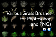 Various Grass Brushes for PS & PNGs, a Brush Add-On by Creative Graphics (Thumbnail 1 of 5)