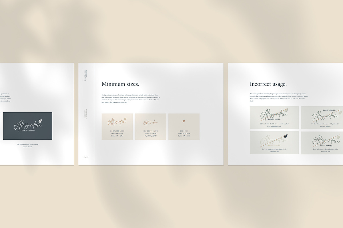Alessandria - Brand Guidelines, a Brochure Template by Imagination Area (Photo 5 of 10)