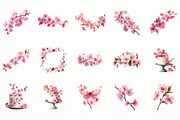 Summer Cherry Blossom Clipart, an Illustration by Designworld (Thumbnail 4 of 6)
