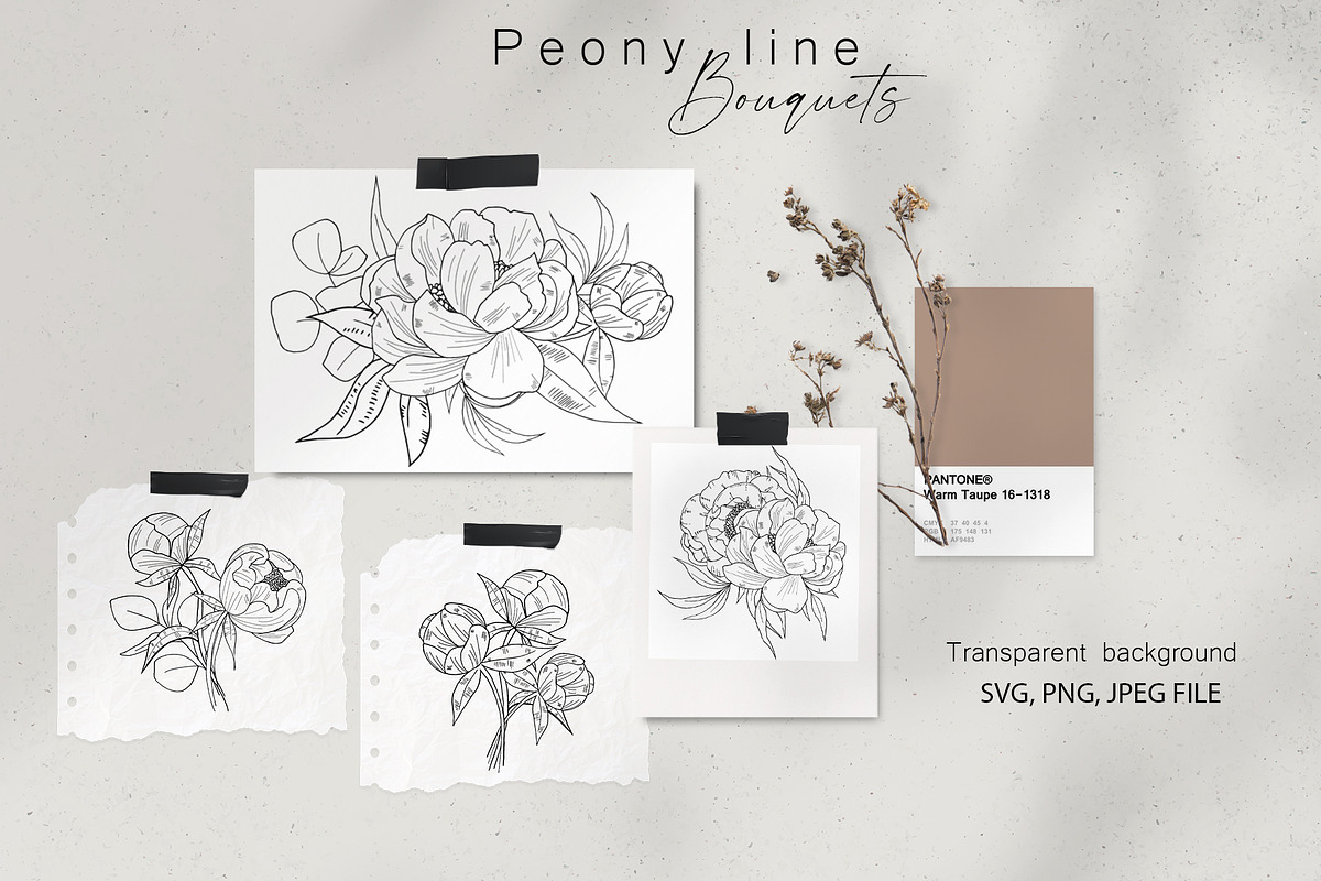Peony Line Illustration - Flower Art, an Illustration by Ooh Lily (Photo 3 of 12)