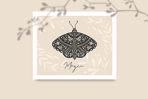 Boho Butterflies Vector Graphics