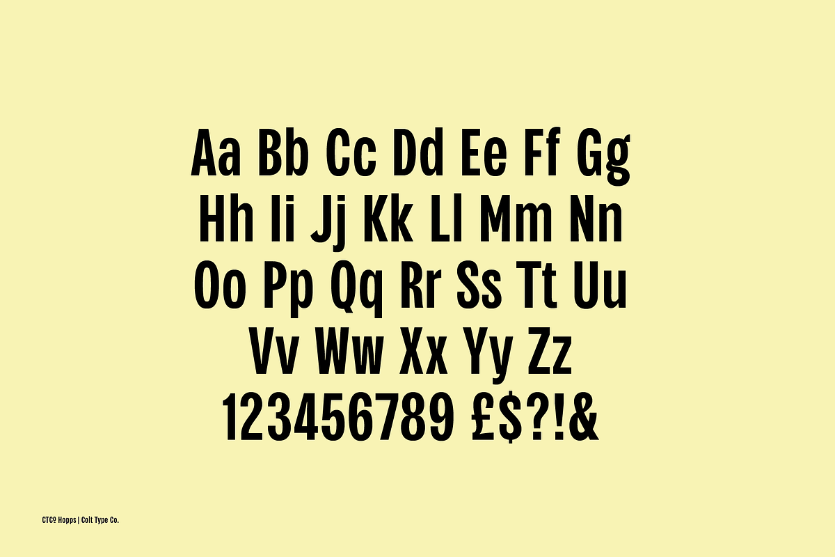 CTCo Hopps Condensed Display, a Sans Serif Font by Colt Type Co (Photo 3 of 6)