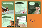 Pet Shop Instagram | CANVA Template, a Social Media Template by Azruca (Thumbnail 12 of 17)