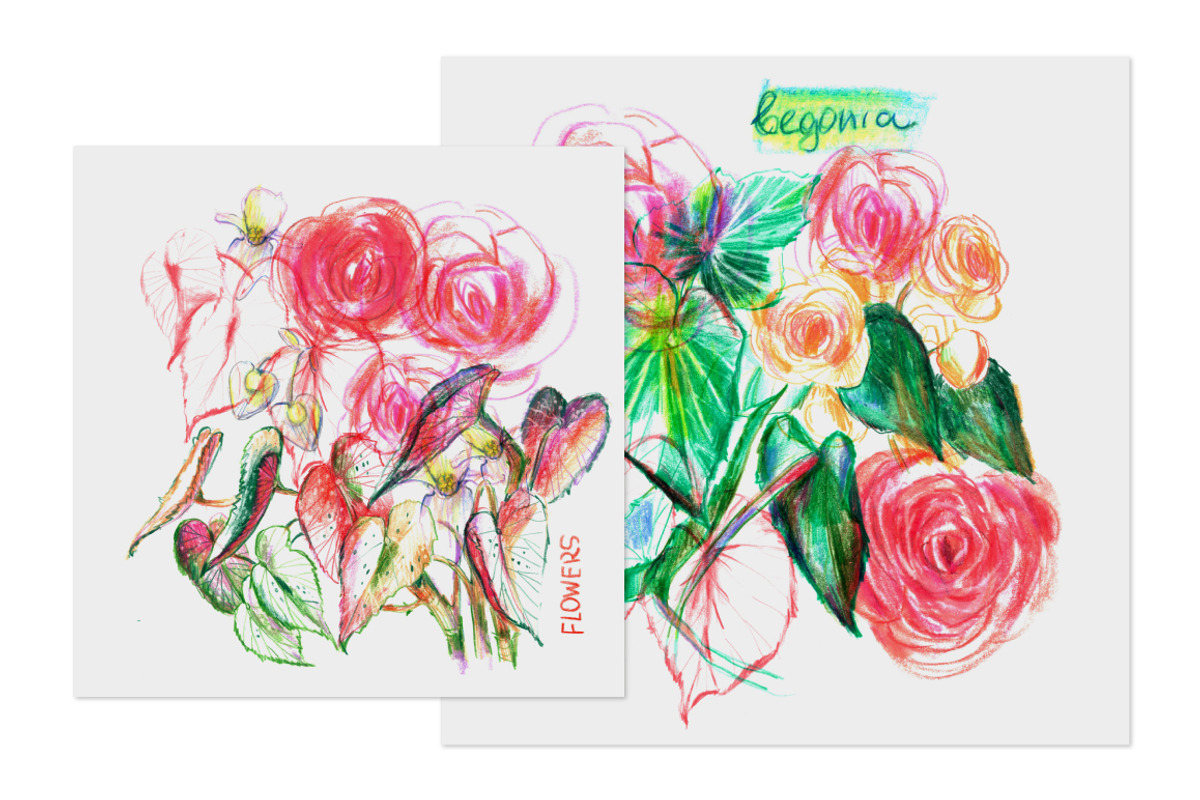 Begonia floral background, a Decorative Illustration by katya.bogina (Photo 2 of 5)