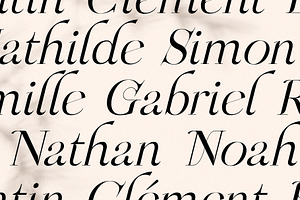 Chic & Elegant Serif Font Bundle