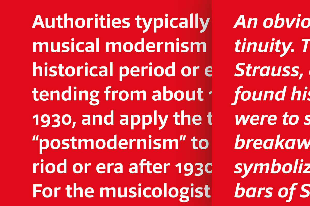 Foro Sans, a Sans Serif Font by Hoftype (Photo 9 of 17)