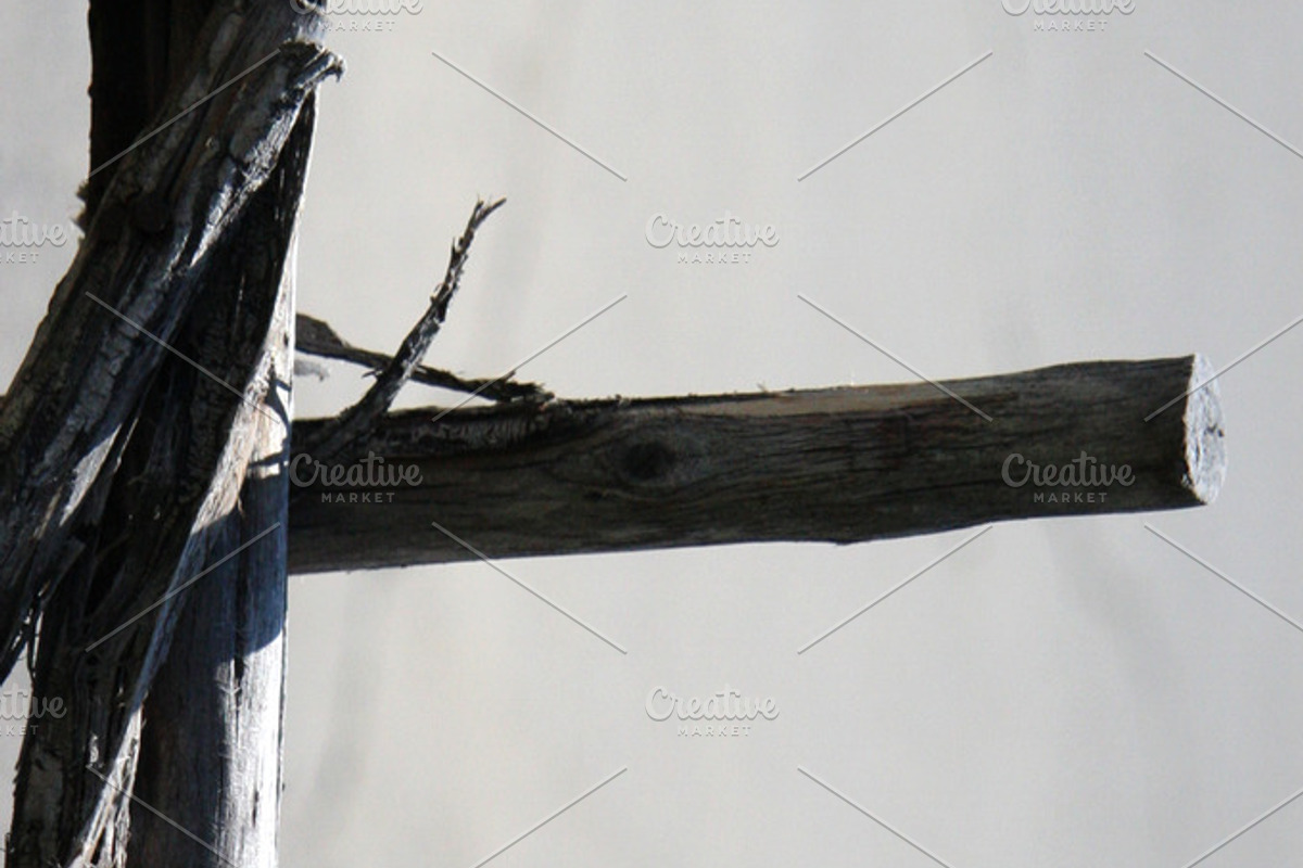 Alphabet Photography Letter E, a Nature Photo by Artistic Letters (Photo 3 of 7)