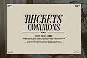 Cravela - Modern Serif, a Serif Font by Say Studio (Thumbnail 5 of 14)