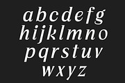 Vogera Minimal Editorial Serif, a Serif Font by Lettertype Studio (Thumbnail 9 of 15)