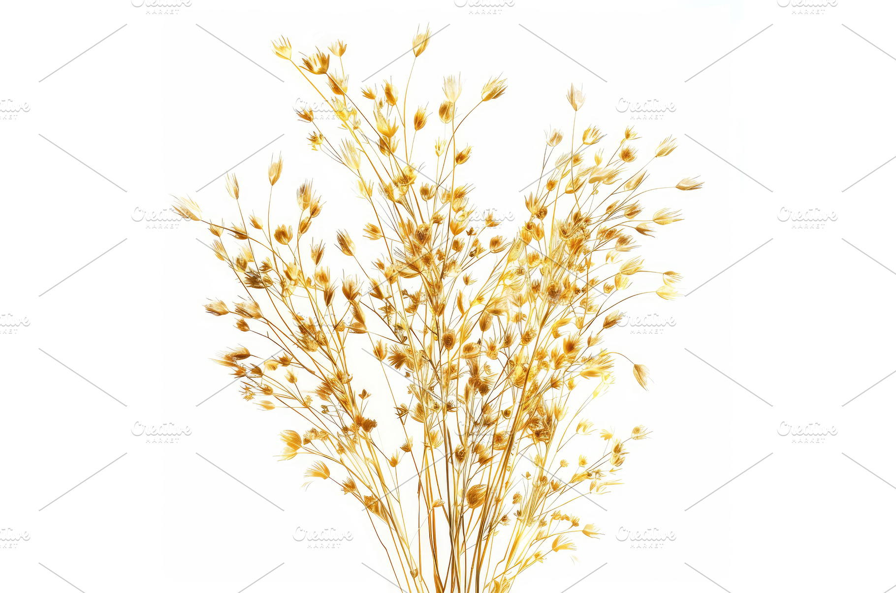 Bouquet of dried wildflowers, a Nature Photo by Ylivdesign