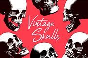 Vector Engraved Skulls Set, an Illustration by Andres M Rodriguez (Thumbnail 2 of 5)
