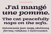 DT Augustina Slab 6 Subfamily, a Slab Serif Font by Deveze Type Foundry (Thumbnail 11 of 30)