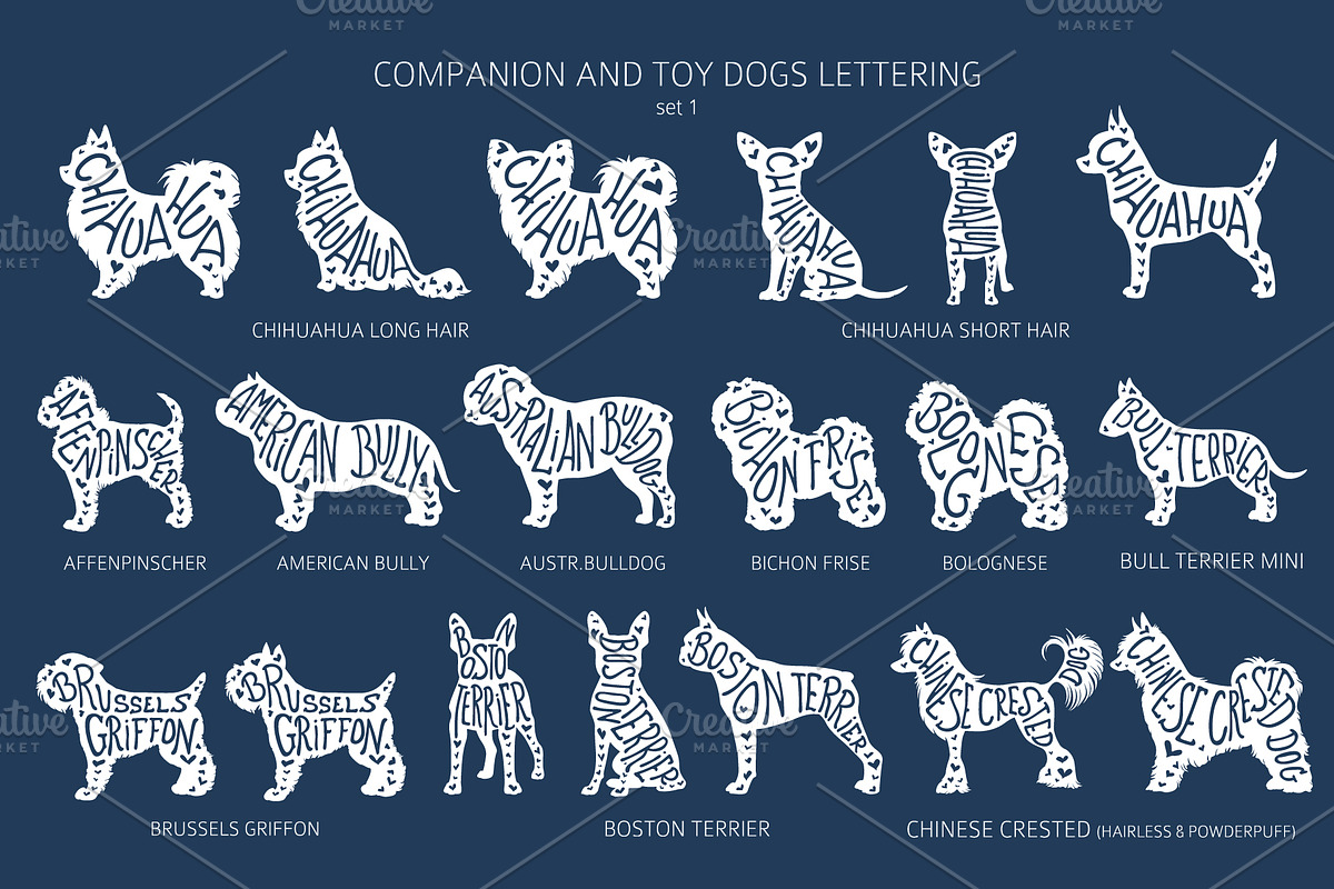 Companion and Toy Dogs Silhouettes, an Animal Illustration by pet design shop (Photo 7 of 15)