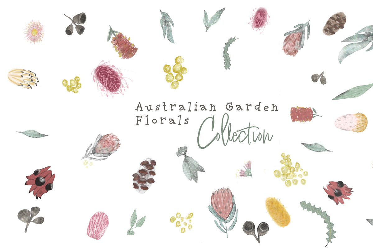Australian Garden Florals Collection, an Illustration by sarahnalder (Photo 1 of 7)