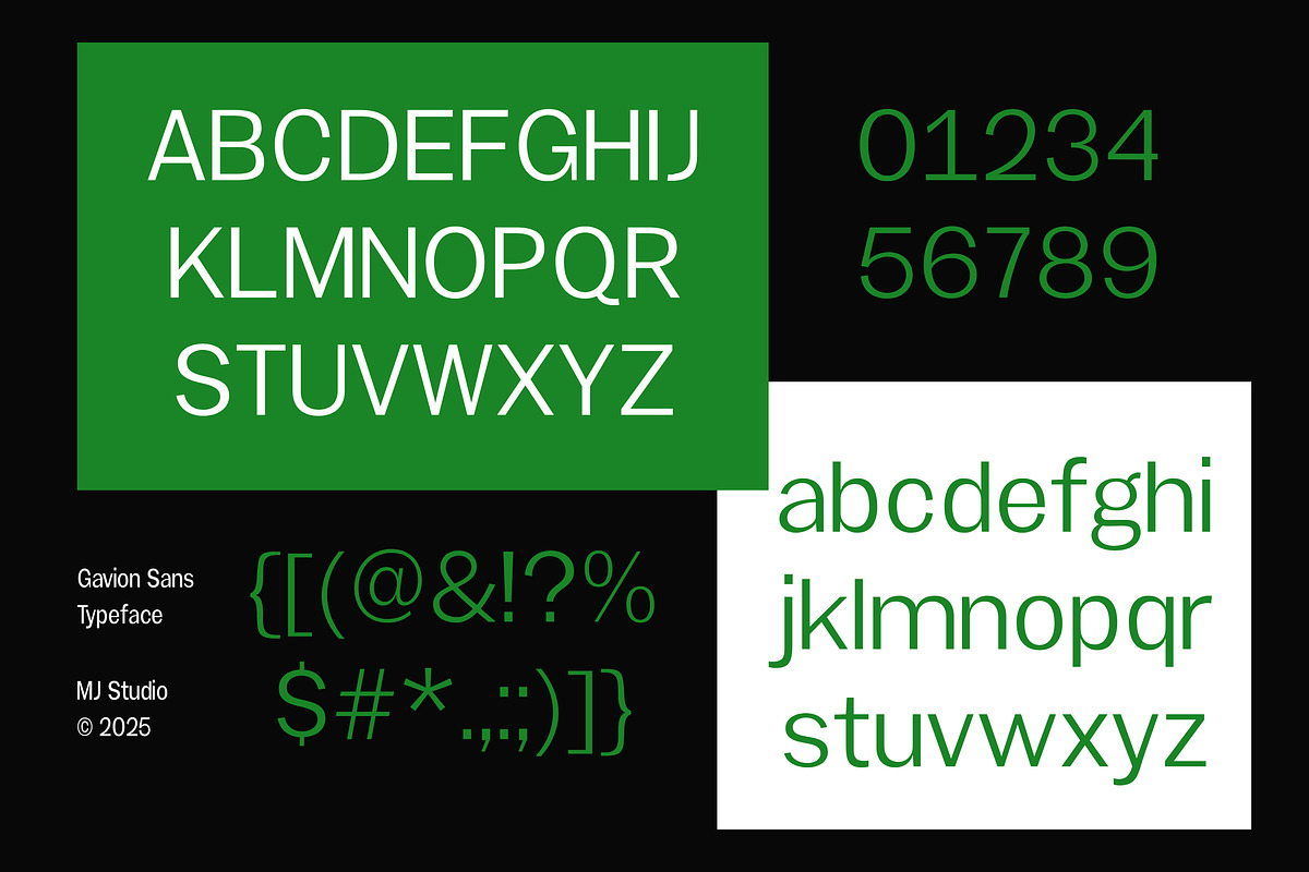 Gavion - 55 Font, a Sans Serif Font by MjStudio31 (Photo 4 of 16)