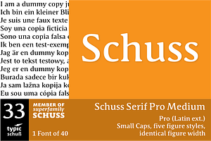 SchussSerifProMedium No.33 (1 Font)