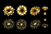 Set of golden daisy chrysanthemums, a Decorative Illustration by blackmoon9 (Thumbnail 1 of 3)