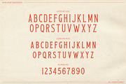 Heirloom Condensed, a Serif Font by Joseph Ernst Design Shop (Thumbnail 2 of 7)