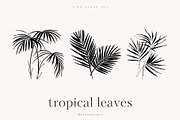 Tropical Leaves, a Decorative Illustration by PeDe Designs (Thumbnail 2 of 7)