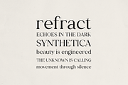Bloryn — Elegant Serif Font, a Serif Font by Only Fonts (Thumbnail 5 of 11)