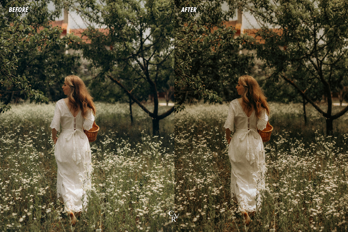 25 Earthy Tone Lightroom Presets, a Preset Add-On by CVR Presets (Photo 6 of 6)
