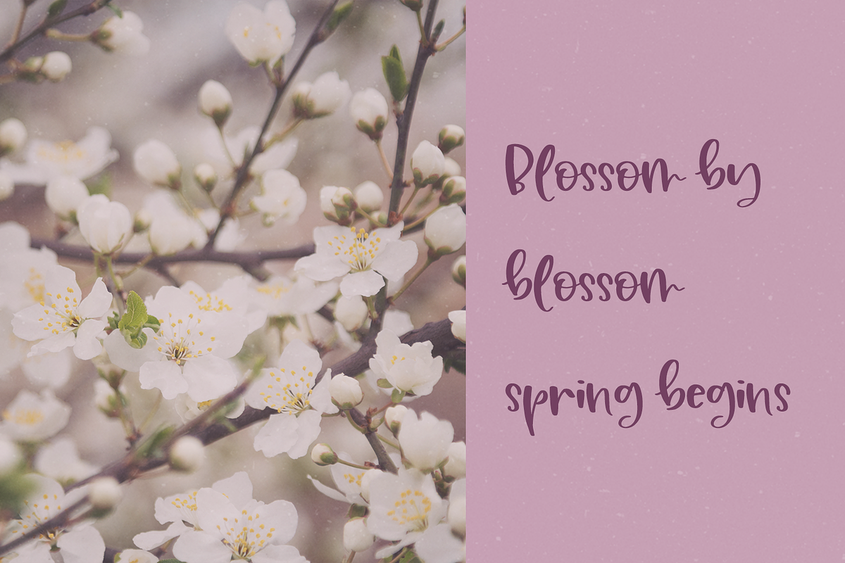 Plum Cobbler Handwritten Font, a Script Font by Beck McCormick (Photo 2 of 10)