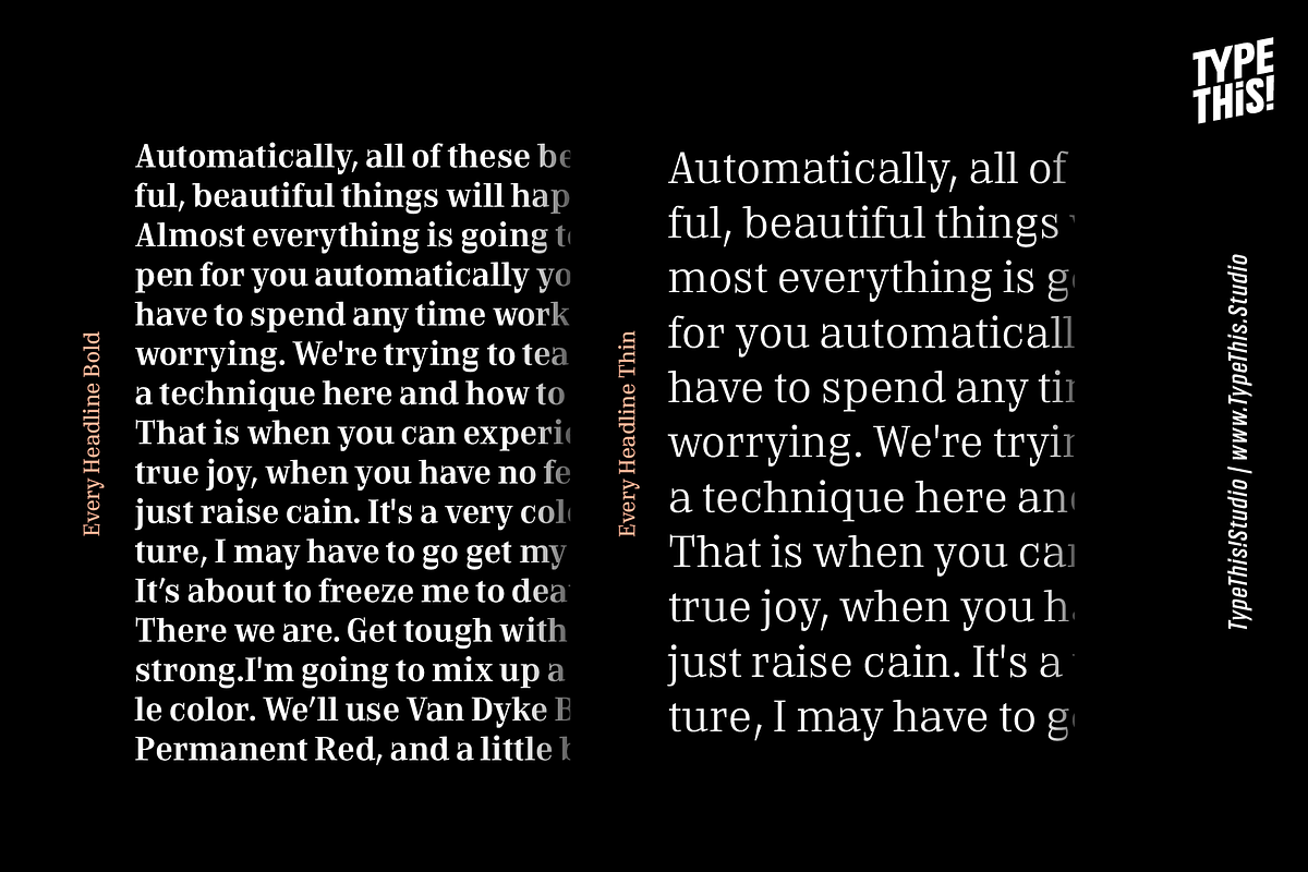 Every Core, a Serif Font by TypeThis!Studio (Photo 7 of 10)