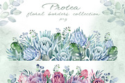 PROTEA watercolor flowers clipart, an Illustration by LenArt (Thumbnail 6 of 16)