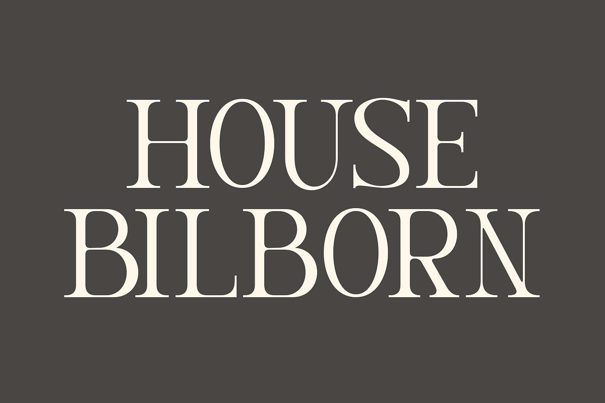 Prista an elegant serif font, a Sans Serif Font by Honestype (Photo 2 of 10)