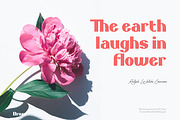 Broxo Sans serif, a Sans Serif Font by Luxima (Thumbnail 8 of 24)
