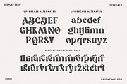 Bright Melody A Display Typeface, a Serif Font by zeenesia (Thumbnail 15 of 18)