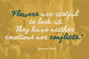 Another Shabby - 5 fonts, a Script Font by Zetafonts (Thumbnail 6 of 12)