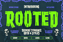 Rooted Font Family