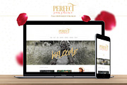 Perfect Sunshine - HTML Blog Theme, a HTML Template by DesignLux (Thumbnail 1 of 3)