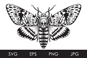 Monochrome Death's-Head Hawk Moth, a Decorative Illustration by Valentyna Smordova (Thumbnail 1 of 2)