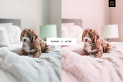 Candy Rose Lightroom Presets Bundle, a Preset Add-On by SHOOM HOUSE (Thumbnail 10 of 11)