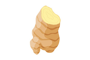 Ginger root. Aromatic herbal spice, a Food Illustration by the8monkey