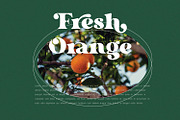 Dorige – Modern Retro Serif Font, a Serif Font by Issam Type (Thumbnail 8 of 13)