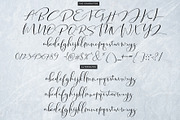 Tifany Script, a Script Font by Moly Mol (Thumbnail 9 of 11)