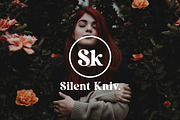 Retrograde Modern Retro Serif Font, a Serif Font by UICreative (Thumbnail 8 of 13)