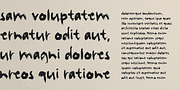 BrushStroke, a Font by Letters & Numbers (Thumbnail 3 of 3)