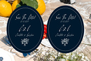 Pamric Mevira Handwritten Ink Font, a Script Font by Letterena Studios Script (Thumbnail 11 of 15)