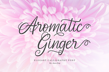 Aromatic Ginger