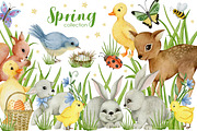 Watercolor Spring Collection., an Animal Illustration by Kira Konoshenko (Thumbnail 1 of 21)