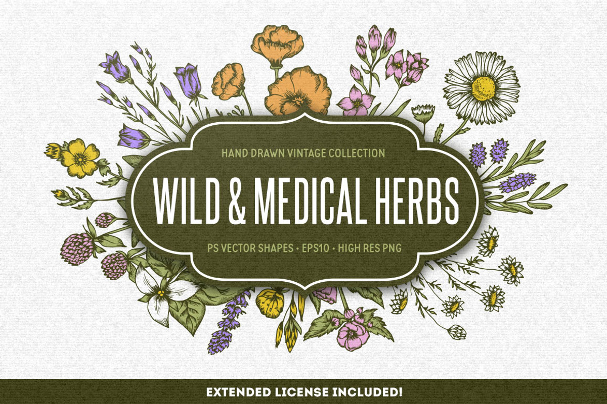 Wild & Medical Herbs, a Food Illustration by Chelovector (Photo 1 of 5)