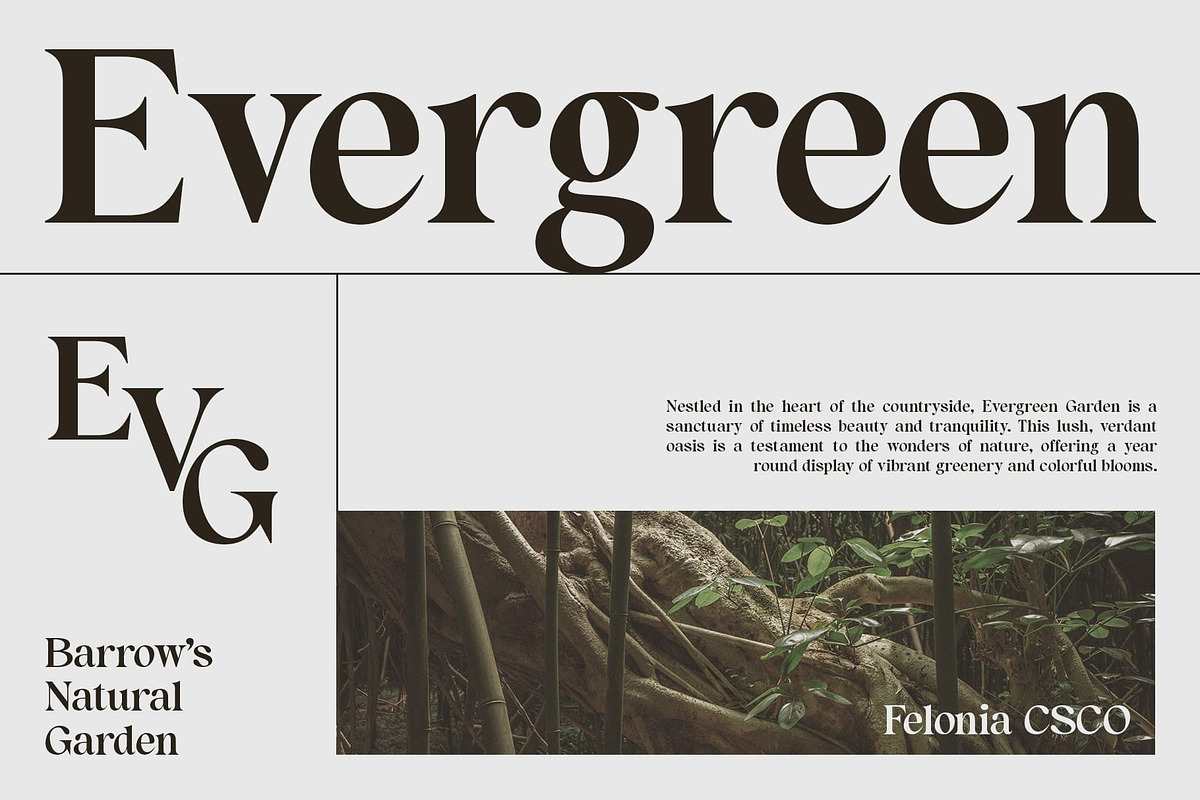 Felonia – Classic Serif, a Serif Font by Craft Supply Co. (Photo 3 of 8)