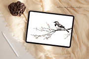 Zen Brushstrokes Sumi-e Clipart Set, an Illustration by Dazzling Art Boutique (Thumbnail 7 of 11)