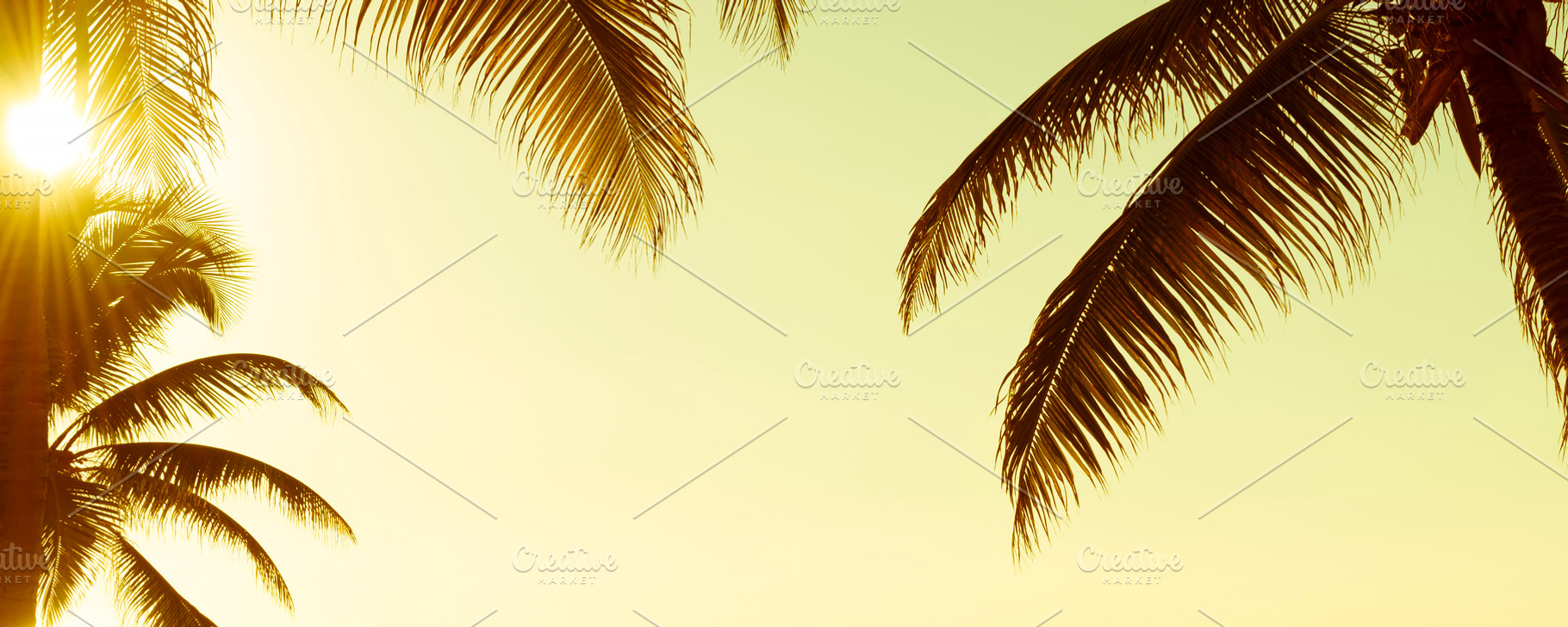 Tropical Palmtree Vintage Banner, a Holiday Photo by THP Creative