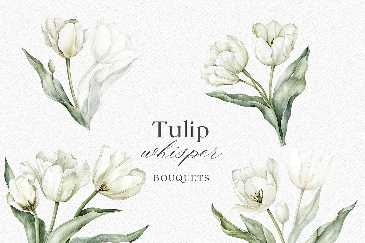 Tulip Whisper - Watercolor Clipart, an Illustration by ThaismotaCreativeCo (Photo 3 of 10)