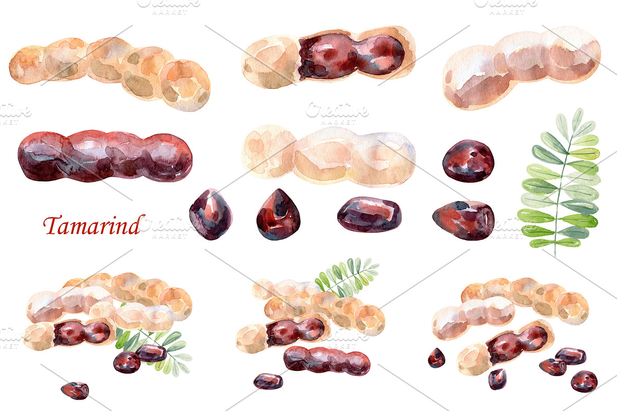 Watercolor tropical fruits., an Illustration by TaPilipa (Photo 38 of 39)